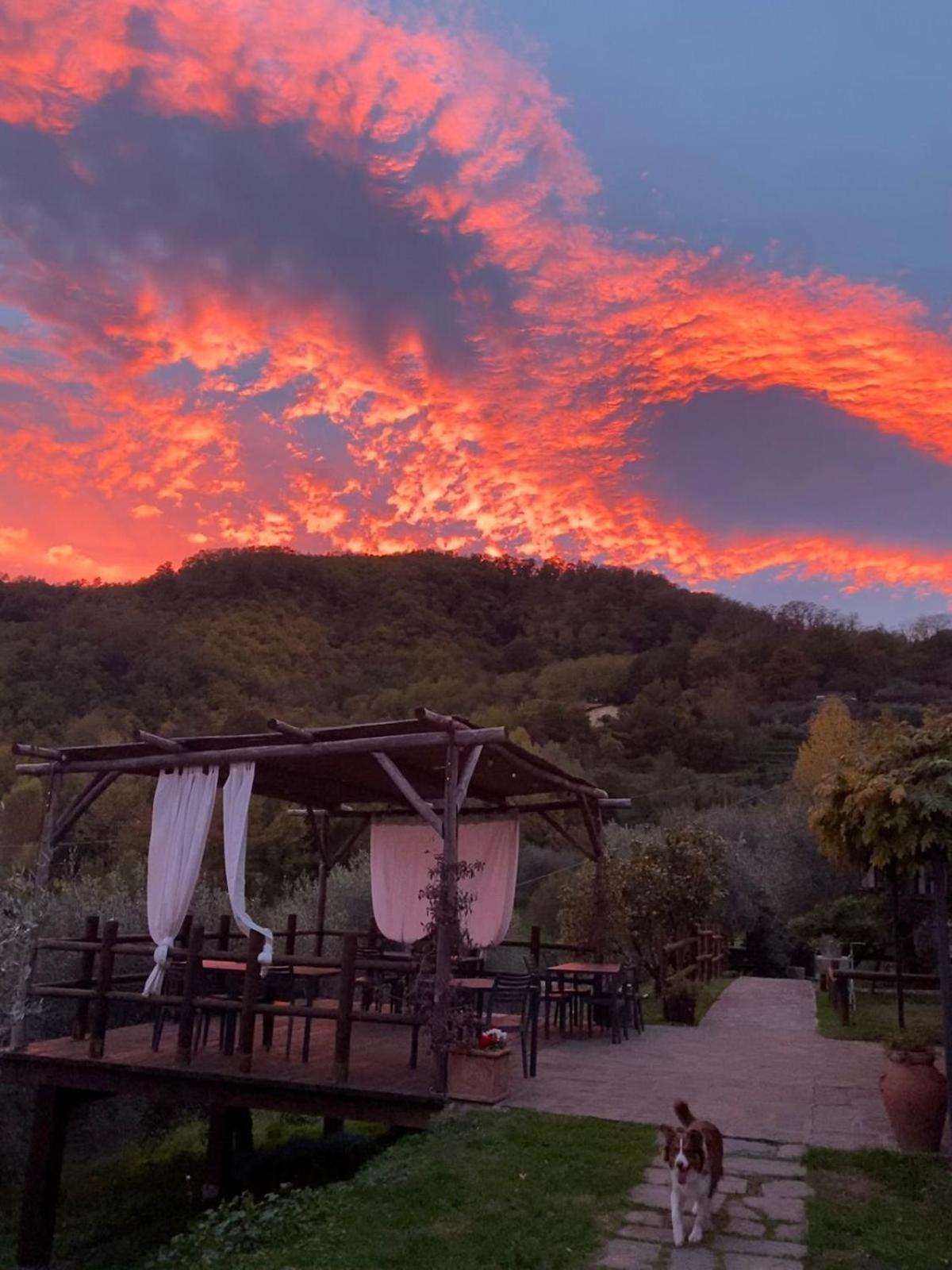 Agriturismo Ca Di Rossi Villa Mulazzo ภายนอก รูปภาพ